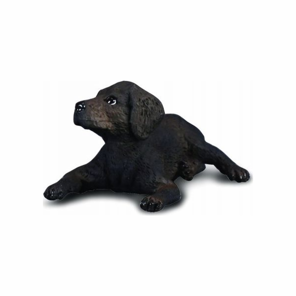 Figurka Collecta COLLECTA LABRADOR PUPPY