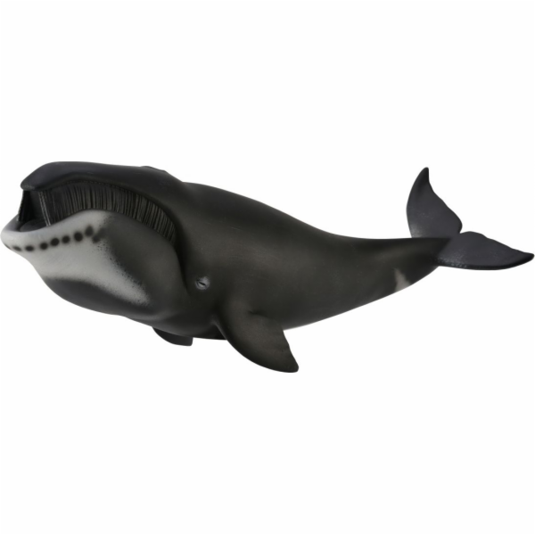 Collecta Figurine Greenland Whale (004-88652)