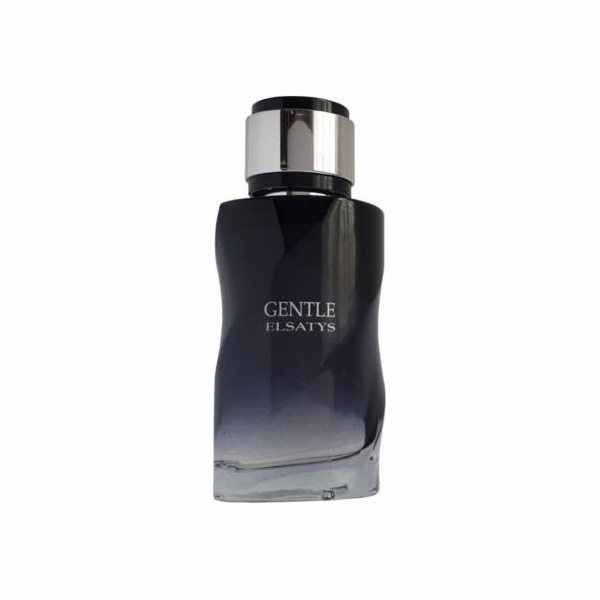 Reyane Tradition Gentle Elsatys EDP 100 ml