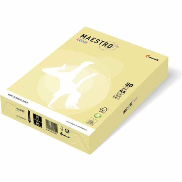 Igepa A4 80g 500 listů