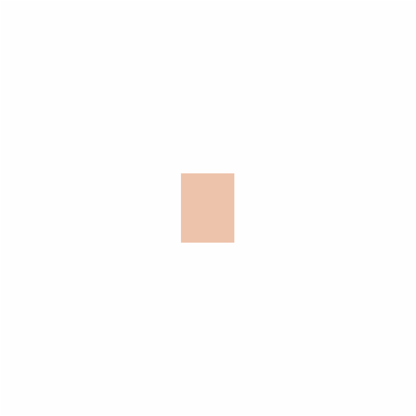 Dior  DIORSKIN FOREVER CUSHION POWDER 010 FAIR 10g