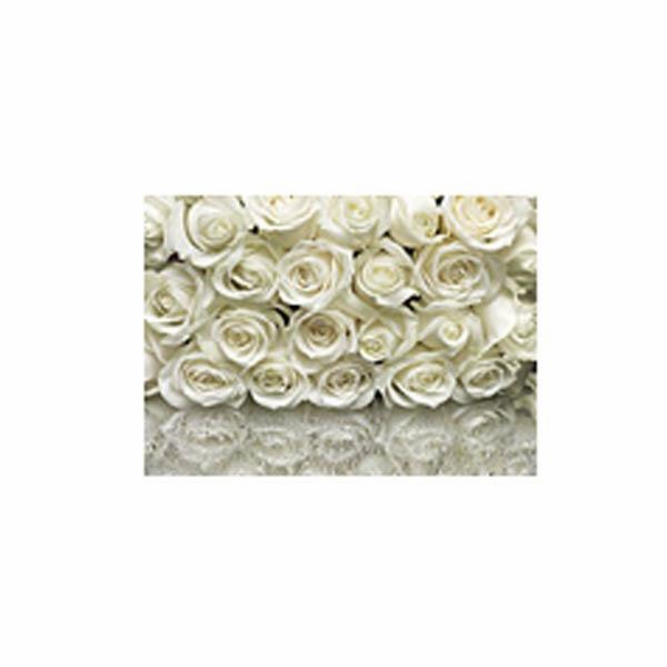 Fototapety Komar La Rose, 98314 A, 368 x 254 cm