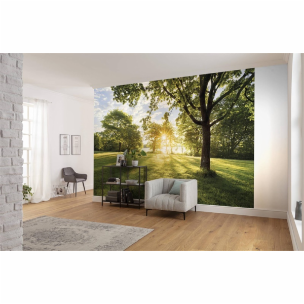 Fototapety, Komar, 8-743, 368 x 254 cm