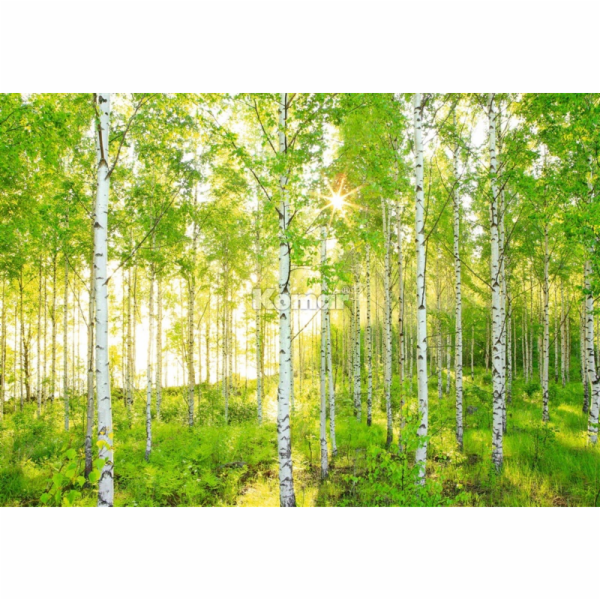 Fototapety, Komar, 8-519, 368x254 cm