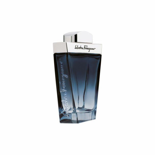 Salvatore Ferragamo Subtil EDT 100 ml