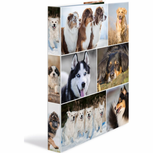 Herma 4-kroužkový pořadač A4 35mm (19358)