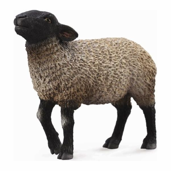 Collecta Suffolk ovcí figurka (004-88636)