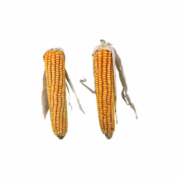 Trixie CORN COBS, 2 ks/250 g