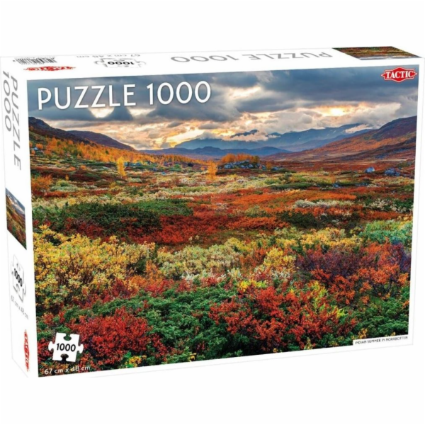 Tactic PROMO Puzzle 1000 dílků Around the World, Northern...