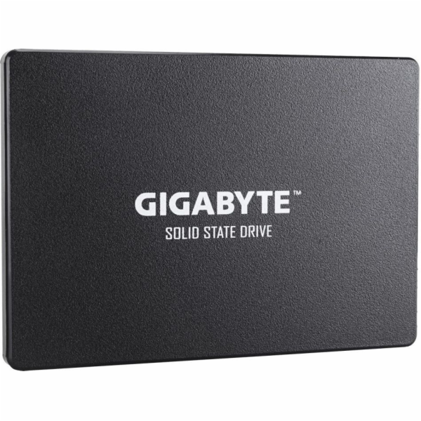 Gigabyte 256GB 2.5 SATA III SSD (GP-GSTFS31256GTND)