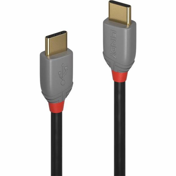 Lindy USB-C – USB-C kabel USB 2 m šedý (36872)