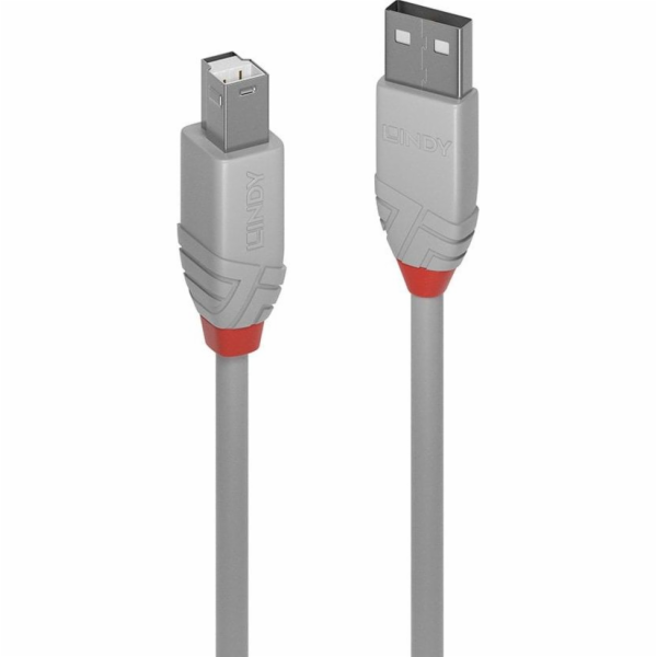 Lindy USB-A - USB-B kabel USB 5 m šedý (36685)