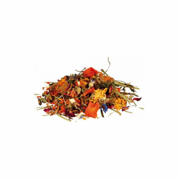 Trixie Krmivo pro vousaté draky mix 100 g (TX-76265)