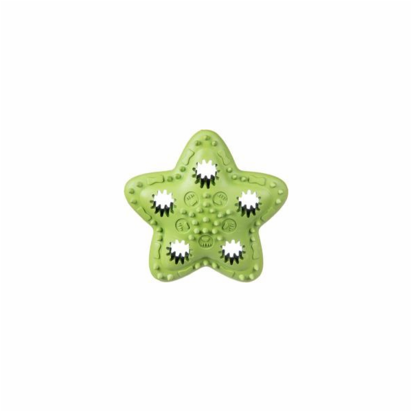 Barry King Star na pamlsky, zelená, 12,5 cm
