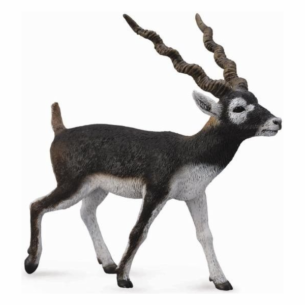 Figurka antilopy Collecta Blackbuck (004-88638)