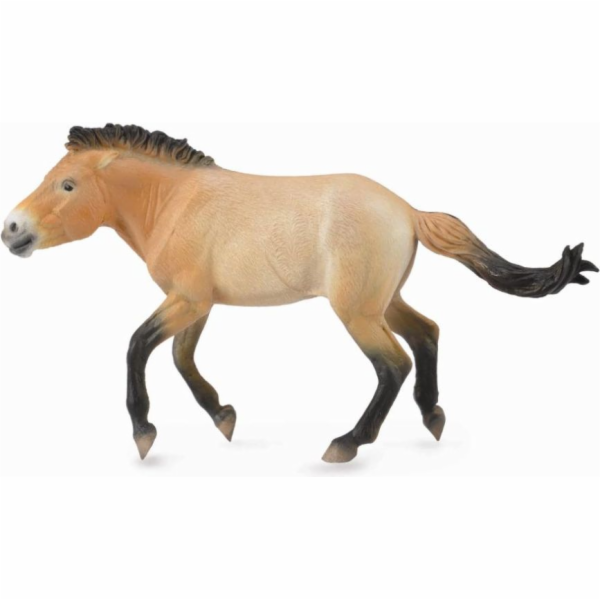 Figurka Collecta Ogiera Przewalského (88602)