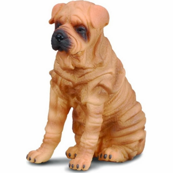 Figurka Collecta SHAR PEI DOG