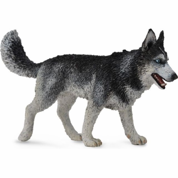 Figurka Collecta sibiřský husky pes (004-88707)