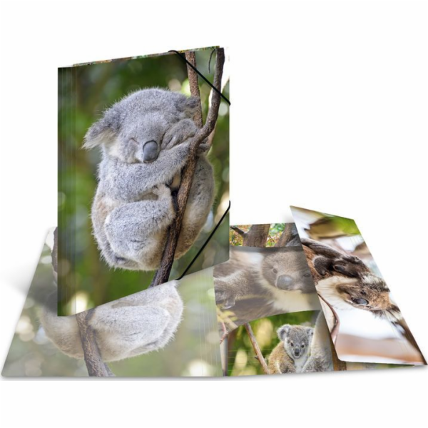 Herma A4 Folder Lesklá Koala
