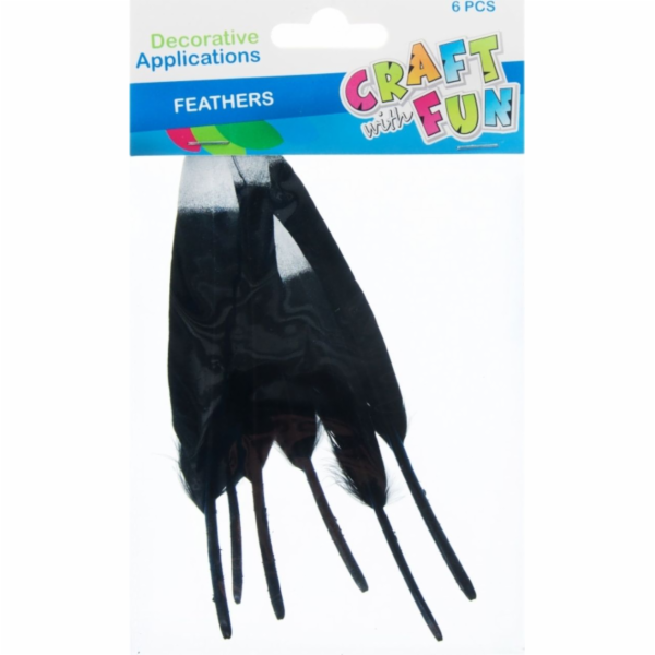 Craft with Fun CF DEKORACE PEŘÍM 10-15CM 6KS ČERNÁ/SR 20/600