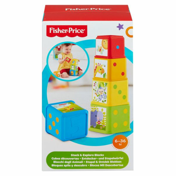 Fisher Price Explorer Blocks (CDC52)