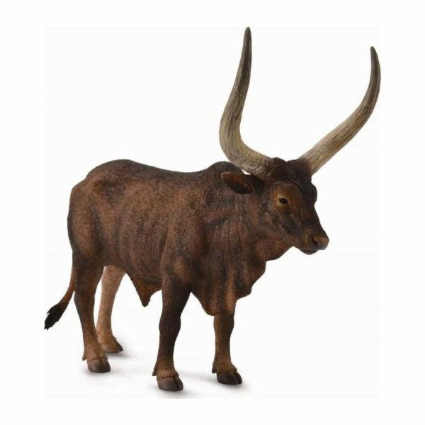 Collecta COLLECTA figurka BULL ANKOLE-WATUSI