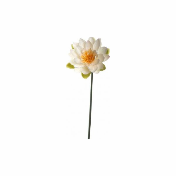 Leonardo Flower leknín 75 Fiore