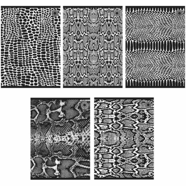 Notebook The Promised Land Notebook A5/80K Snakes line 1 ...