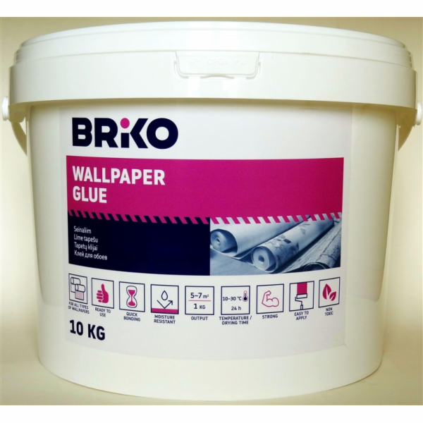 LEPICÍ PÁTKA BRIKO READY BOND 10KG