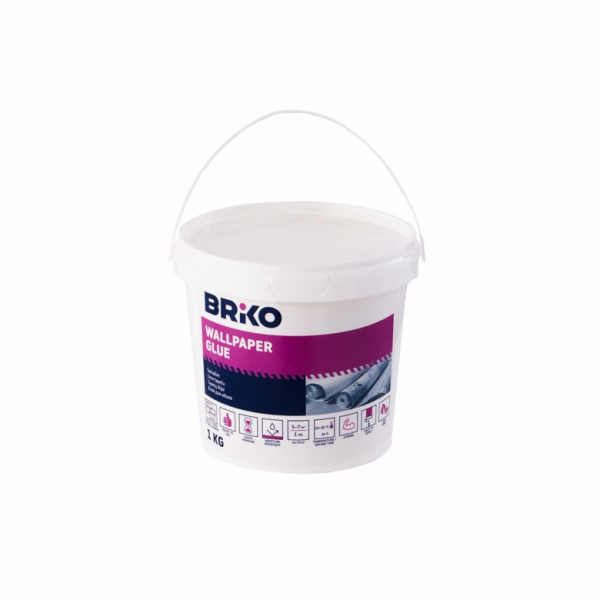 LEPICÍ PÁTKA BRIKO READY BOND 1KG