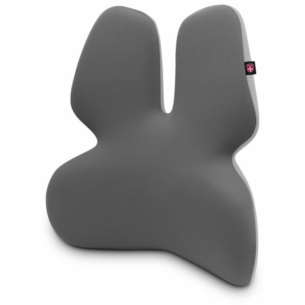 CONNECT&nbsp;IT&nbsp;FOR&nbsp;HEALTH&nbsp;GamaPro&nbsp;Anatomická&nbsp;bederní&nbsp;opěrka&nbsp;n...