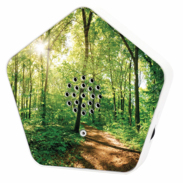 Olymp Nature BOX