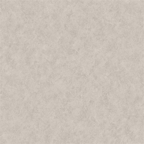 TAPET VINIL 520338 RUSV VIENSP (6)