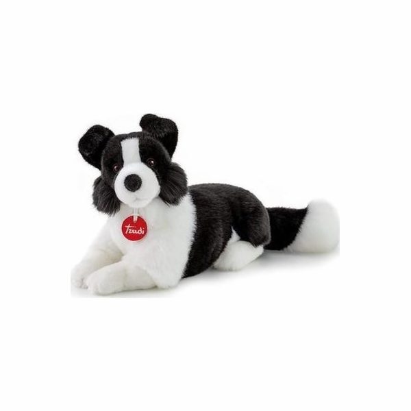 TRUDI BORDER COLIE (M)