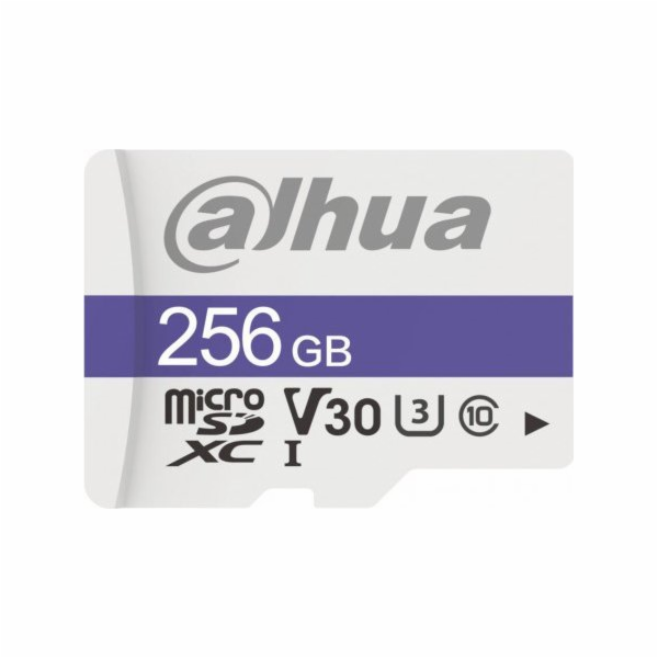 Paměťová karta DAHUA TF-C100/256GB 256GB