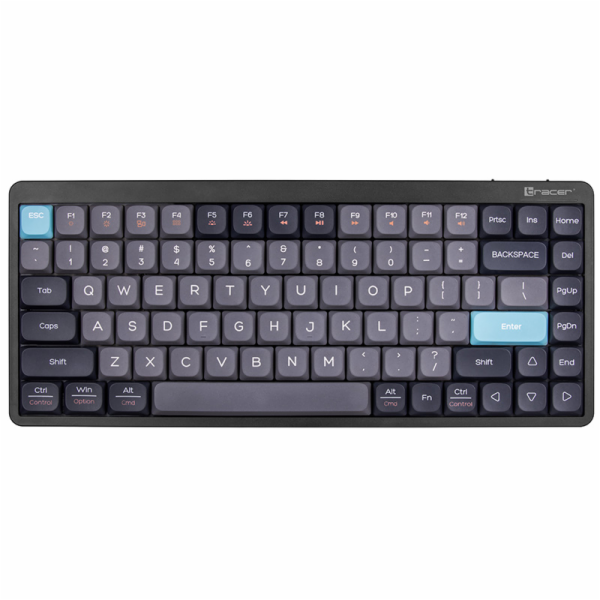 Tracer 47308 FINA 84 Černý rybíz (Outemu Red Switch)