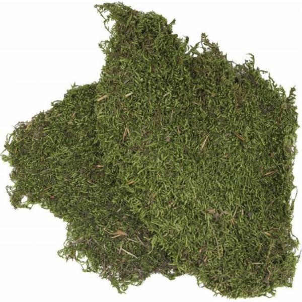 Terarijní substrát Terra Natura Moss 100g (země původu Tü...