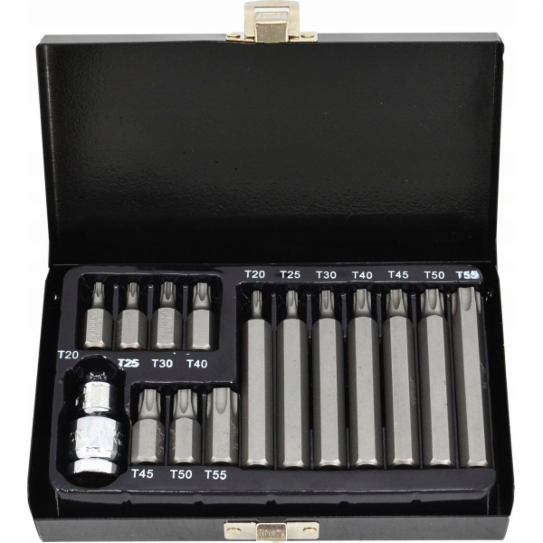 AWTools BIT TORX 15ks. S OTVOROU BL AW35117BL