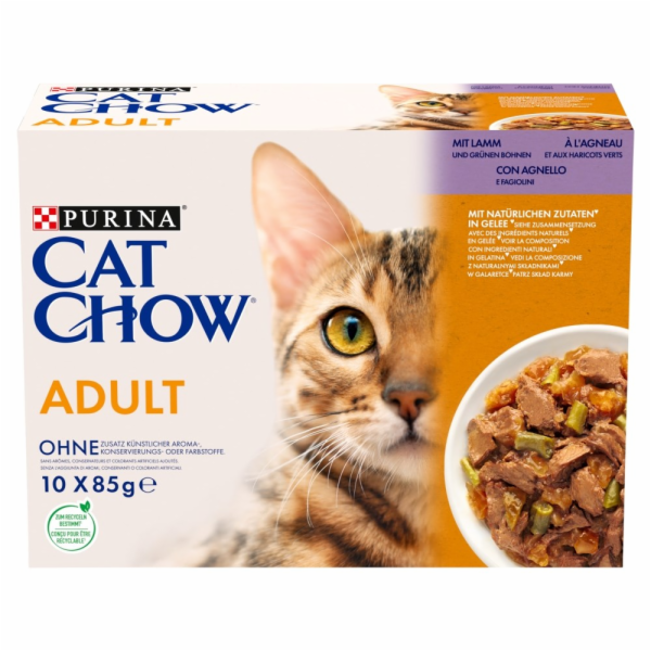 PURINA Cat Chow Lamb  Green Beans - wet