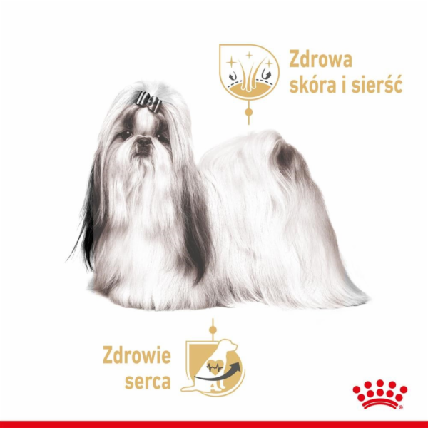 ROYAL CANIN Shih Tzu Adult Mokré krmivo pro psy Paštika 1...