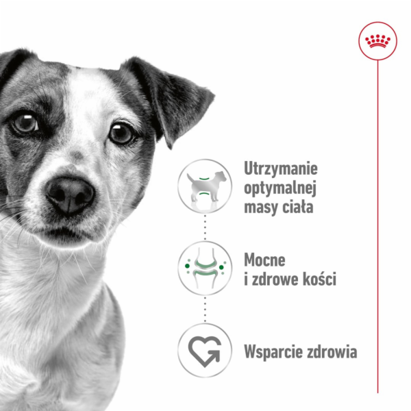 ROYAL CANIN Mini Adult - mokré krmivo pro psy - 12 x 85g