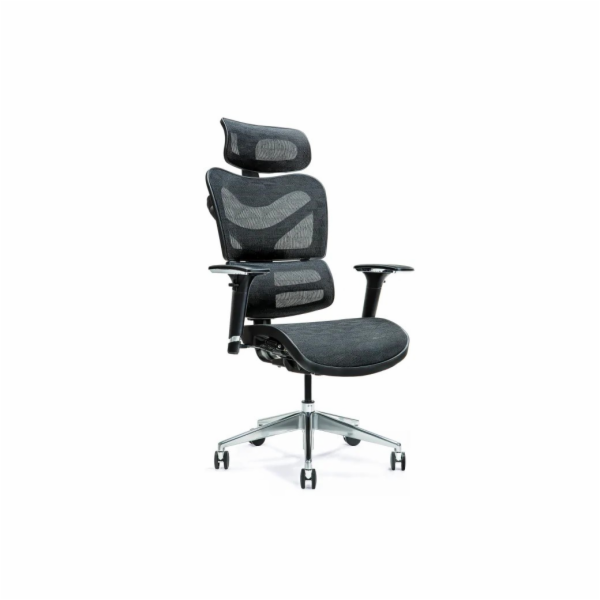 Ergonomická kancelářská židle ERGO 600 černá
