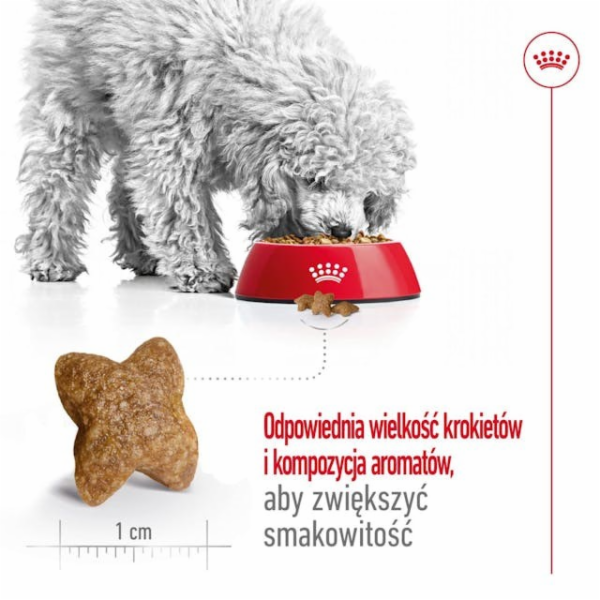 ROYAL CANIN Adult Mini S - suché krmivo pro psy - 8kg