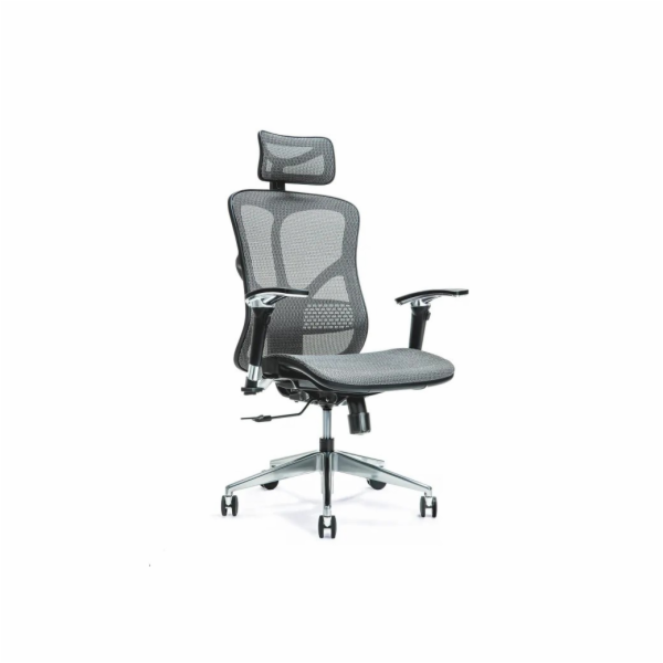 Ergonomická kancelářská židle ERGO 500 šedá