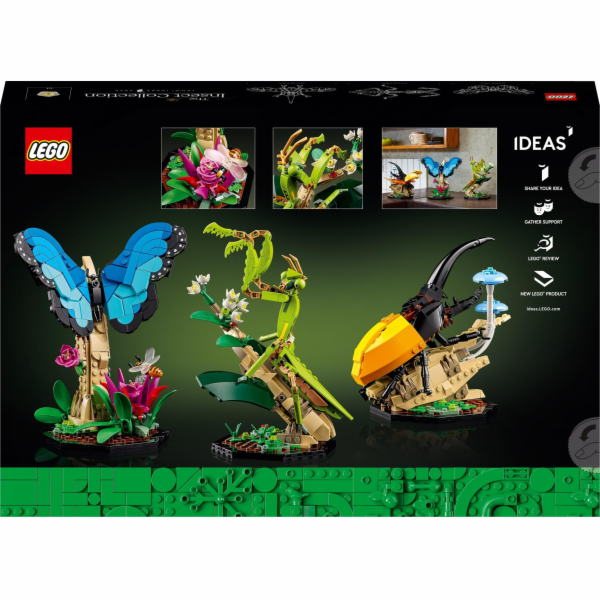 LEGO IDEAS 21342 Sbírka hmyzu