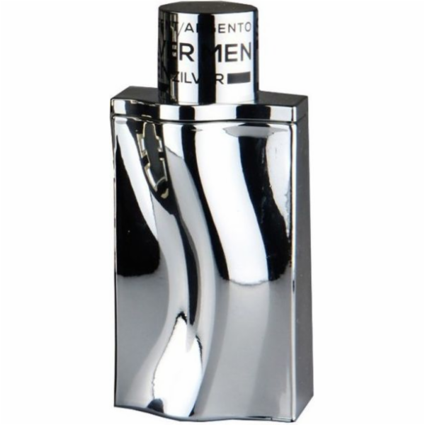 Georges Mezotti Silver Men EDT 100 ml