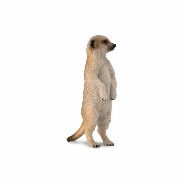 Collecta figurka GREY MEERCATT