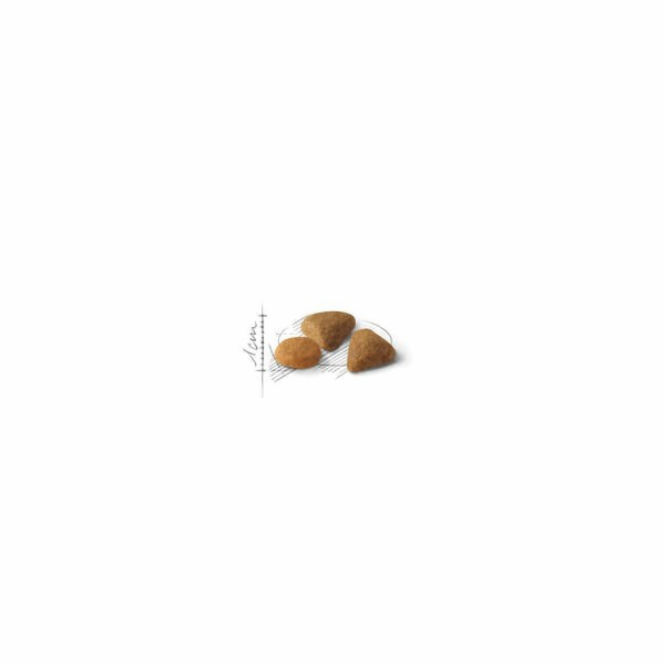 Royal Canin Feline Savour Exigent 4kg suché krmivo pro ko...