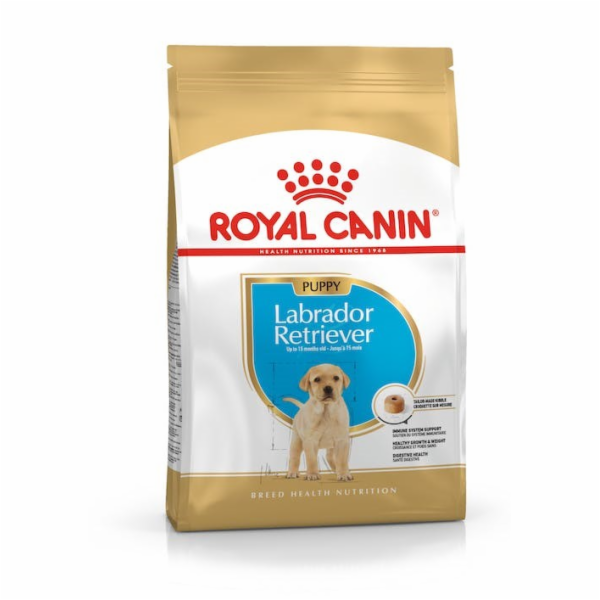 ROYAL CANIN SHN Breed Labrador Junior suché krmivo pro ps...