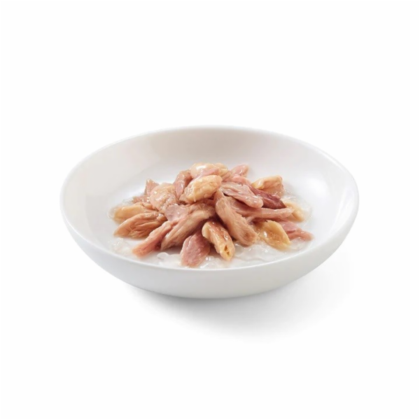 SCHESIR in jelly Tuna with salmon - mokré krmivo pro kočk...